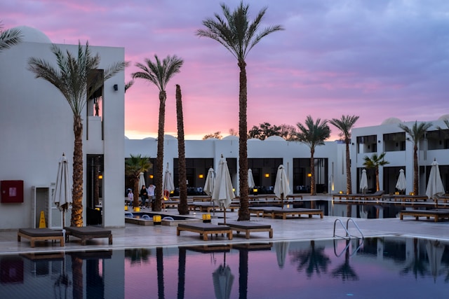 palms